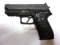 p229r-01