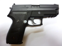 p229r-02